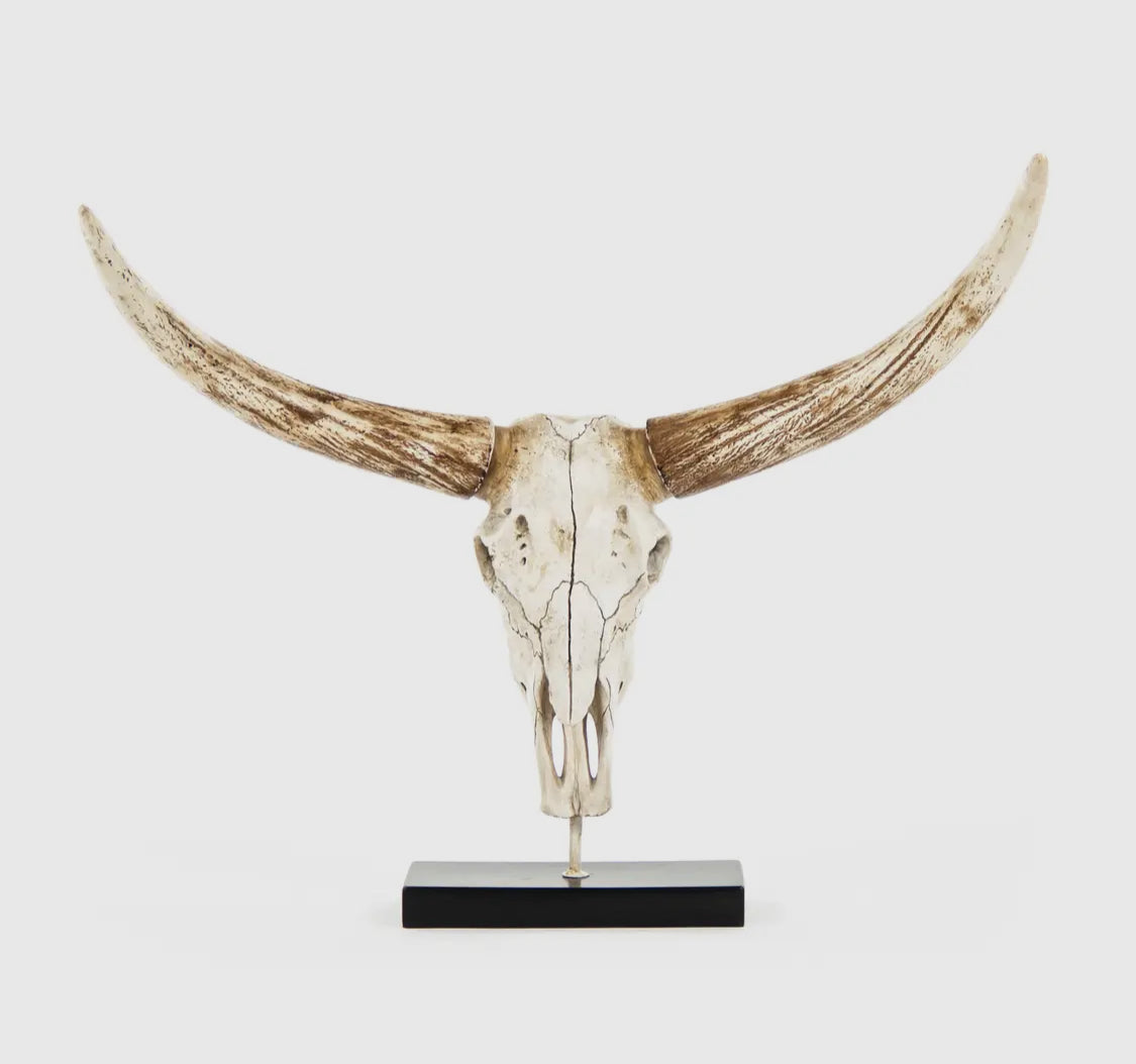 Bull Skull With Base — Distressed White and Brown