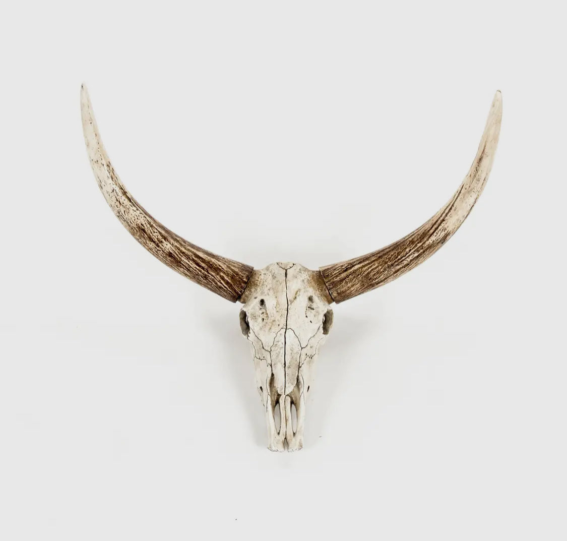 Goat Skull Wall Decor