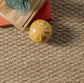 Bordered Seagrass Area Rug